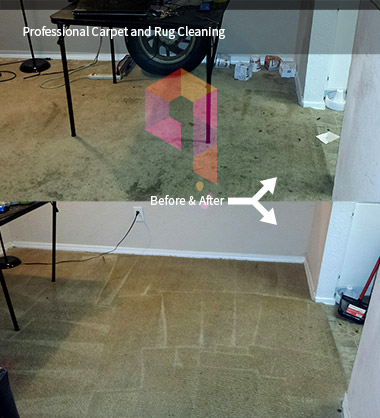 Carpet Cleaning Services in South Miami